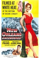 New Orleans Uncensored poster image