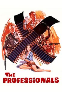 プロフェッショナル / The Professionals