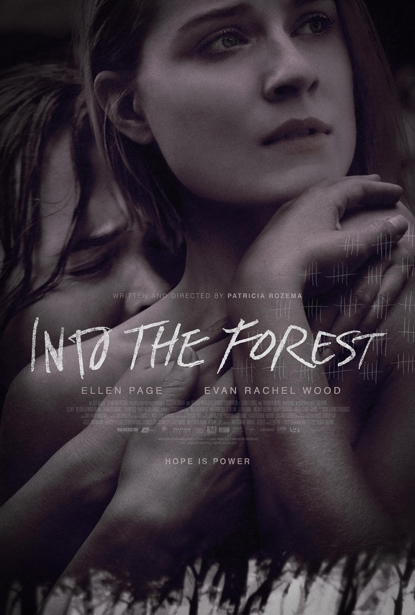 The Forest (TV Mini Series 2017) - IMDb
