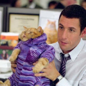 As part of his job, Dave Buznik (Adam Sandler) devises pet outfits in Revolution Studios' comedy Anger Management, a Columbia Pictures release. photo 4