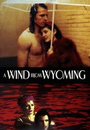Wind From Wyoming poster image
