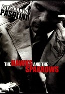 The Hawks and the Sparrows poster image