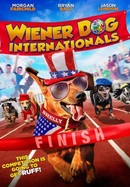 Wiener Dog Internationals poster image