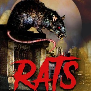 "Rats photo 6"