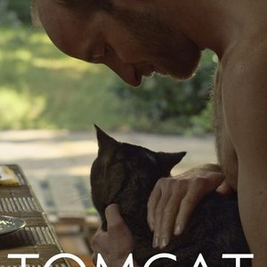 Tomcat photo 2