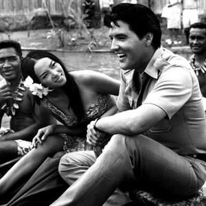 Linda Wong - Rotten Tomatoes