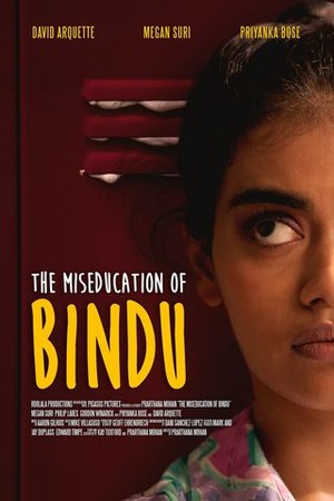 The MisEducation of Bindu poster