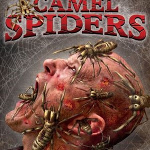 Camel Spiders (2011) photo 9
