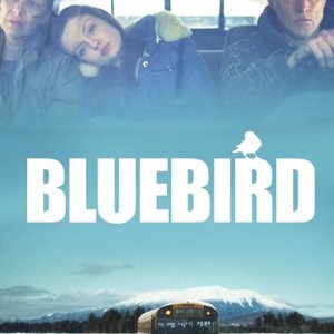 Bluebird (2013) photo 13