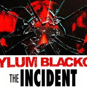 the incident 2011 film