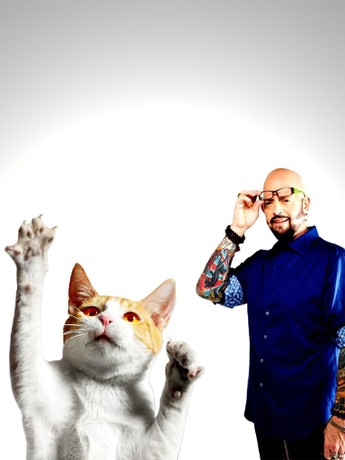 My cat from hell episode 1 shop