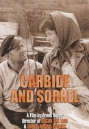 Carbide and Sorrel poster image