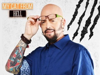 My Cat From Hell Season 1 Rotten Tomatoes