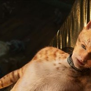 Cats – Film Review