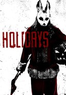 Holidays poster image