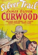 The Silver Trail poster image