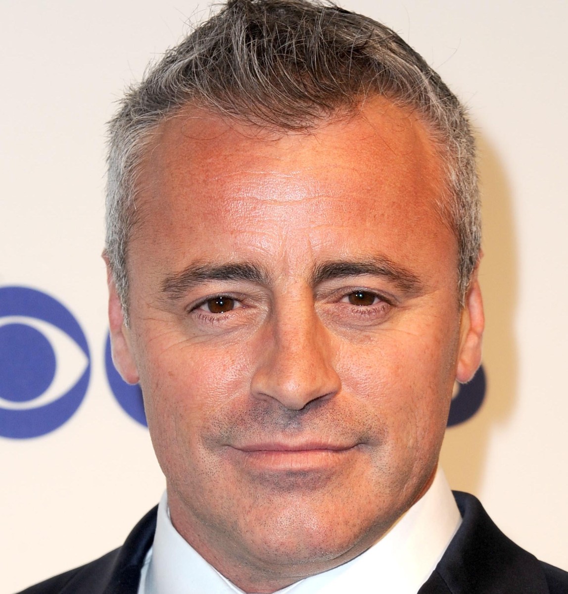 Matt LeBlanc Rotten Tomatoes