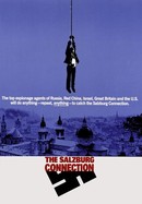 The Salzburg Connection poster image