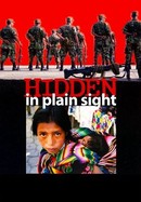 Hidden in Plain Sight poster image