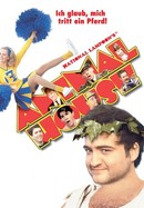 National Lampoon's Animal House poster image