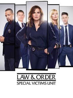 Law & order top season 20 episode 23