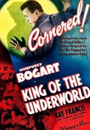 King of the Underworld poster image