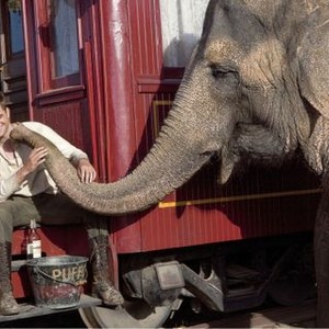 Water for Elephants photo 4