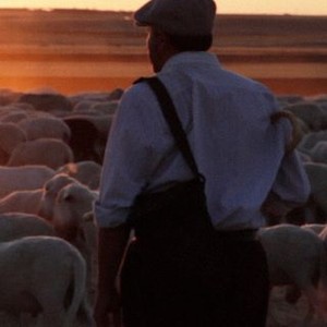 The Shepherd (2016) photo 14