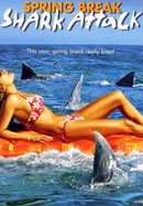 Spring Break Shark Attack poster image