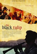 The Black Tulip poster image