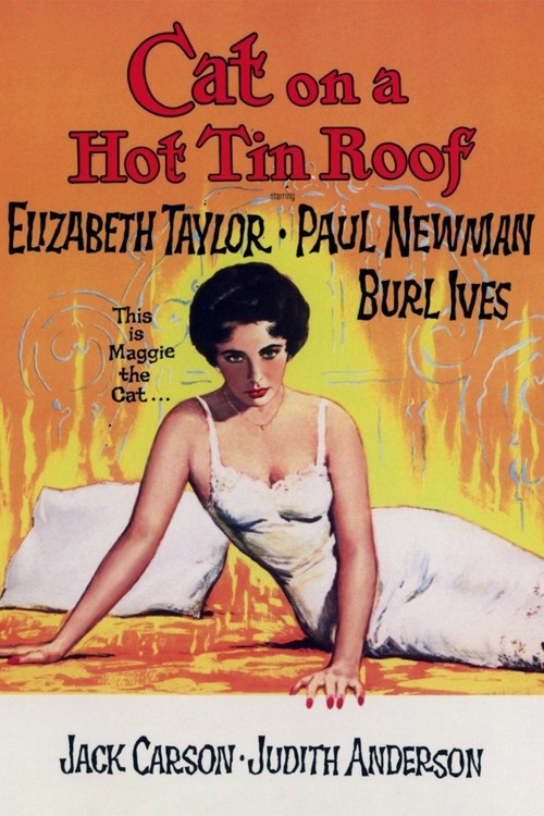 Cat on a Hot Tin Roof poster