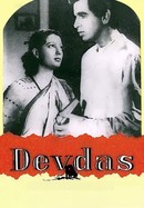 Devdas poster image
