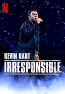 Kevin Hart: Irresponsible poster image