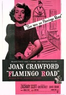 Flamingo Road poster image