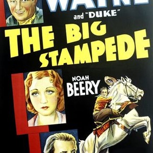 Streaming best sale film stampede