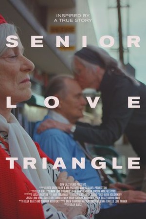 Senior Love Triangle poster