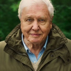 David Attenborough: A Life on Our Planet (2020) photo 1