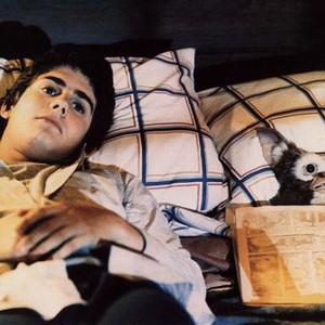 GREMLINS, Zach Galligan, 1984, reading in bed