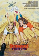 Outrageous Fortune poster image
