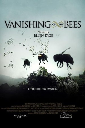 Vanishing of the Bees poster
