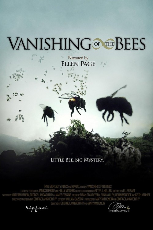 Vanishing of the Bees poster