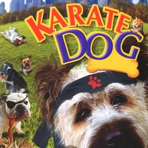 Karate Dog photo 6