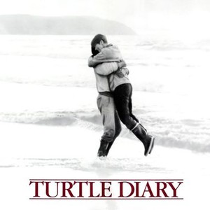 "Turtle Diary photo 6"