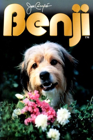 Benji | Rotten Tomatoes display picture 1