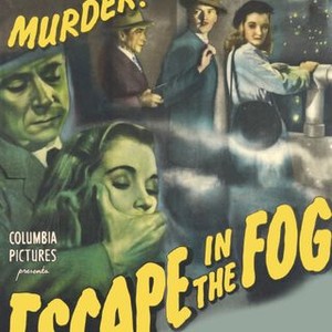 Escape in the Fog photo 7