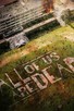 Poster for 