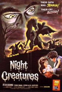 Watch trailer for Night Creatures