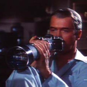 A scene from the movie Rear Window. photo 20