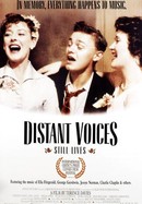 Distant Voices, Still Lives poster image