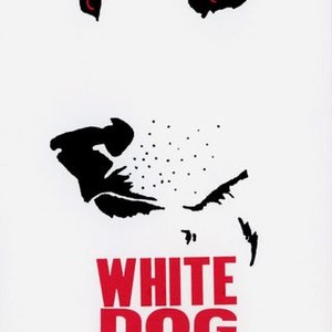 "White Dog photo 11"